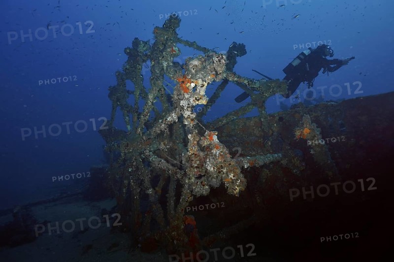Diver near a shipwreck covered by sea sponges, in dark blue water in the Mediterranean near Hyères, dive site Wreck Ville de Grasse, Giens Peninsula, Porquerolles, Provence, Côte d'Azur, Mediterranean, France
