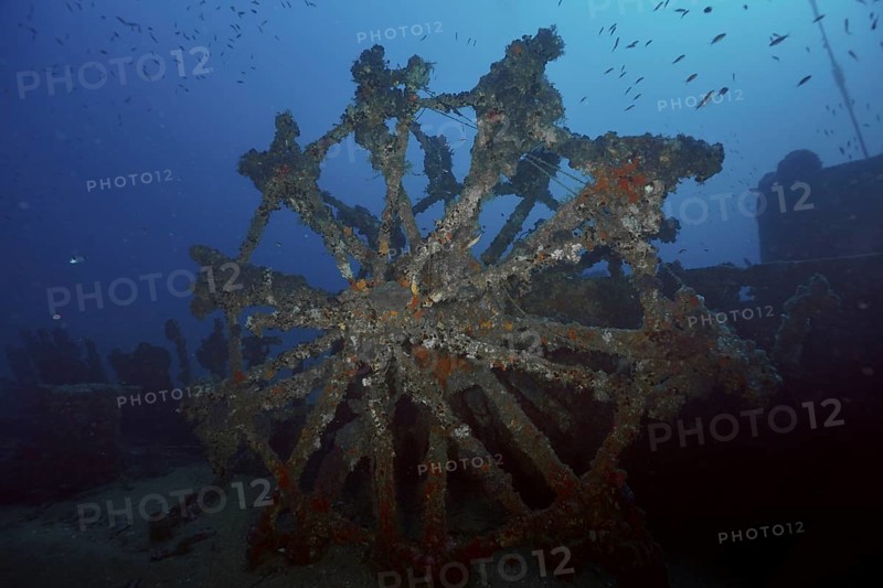 A large paddle wheel covered by sea sponges in a dark underwater setting in the Mediterranean near Hyères, Wreck Ville de Grasse dive site, Giens Peninsula, Porquerolles, Provence, Côte d'Azur, Mediterranean, France