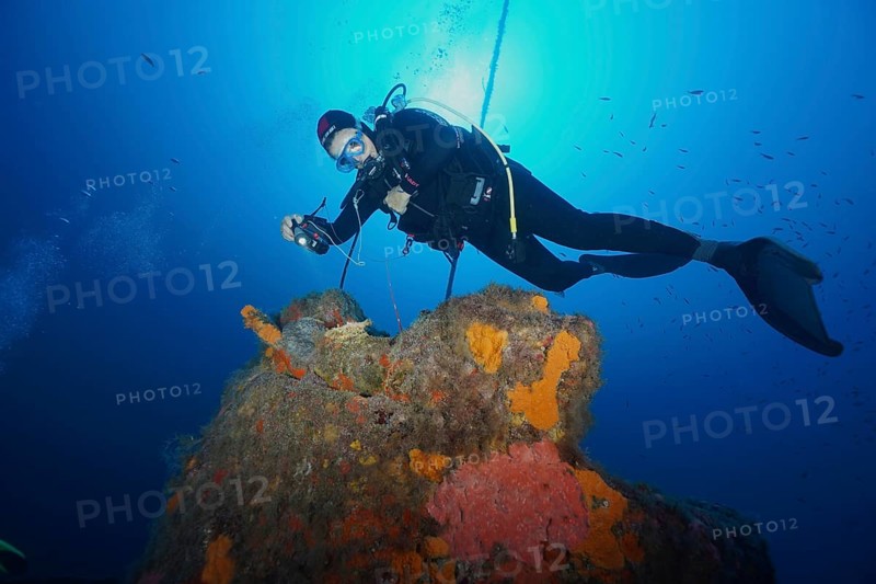 Diver examines an underwater wreck covered with sea sponges in bright blue water in the Mediterranean near Hyères, dive site Wreck Ville de Grasse, Giens Peninsula, Porquerolles, Provence, Côte d'Azur, Mediterranean, France