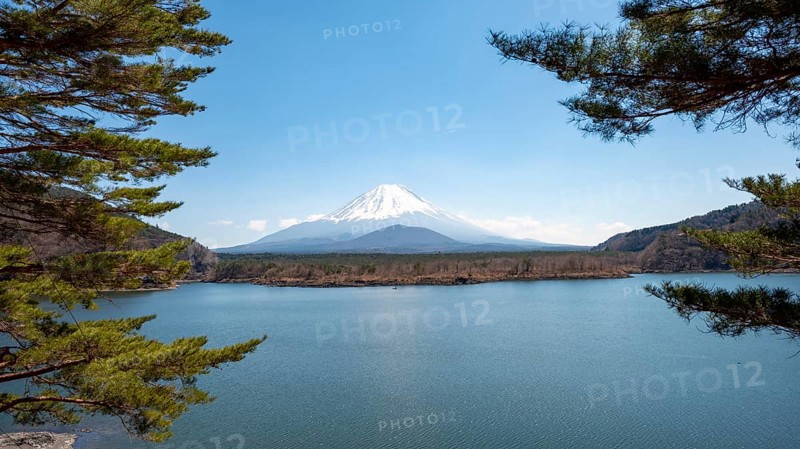 View across the lake to Mt Fuji volcano, Motosu Lake, Yamanashi Prefecture, Japan