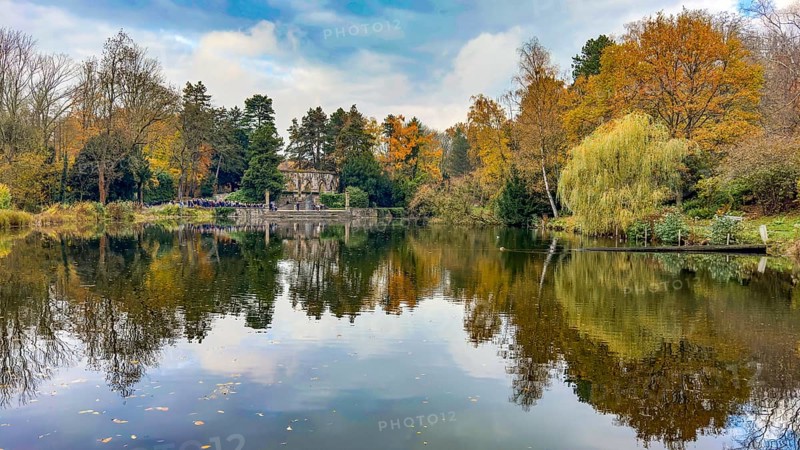 View in autumn across pond at Ehrenmal Pond in the Wittringer Wald recreation area, Gladbeck, North Rhine-Westphalia, Germany