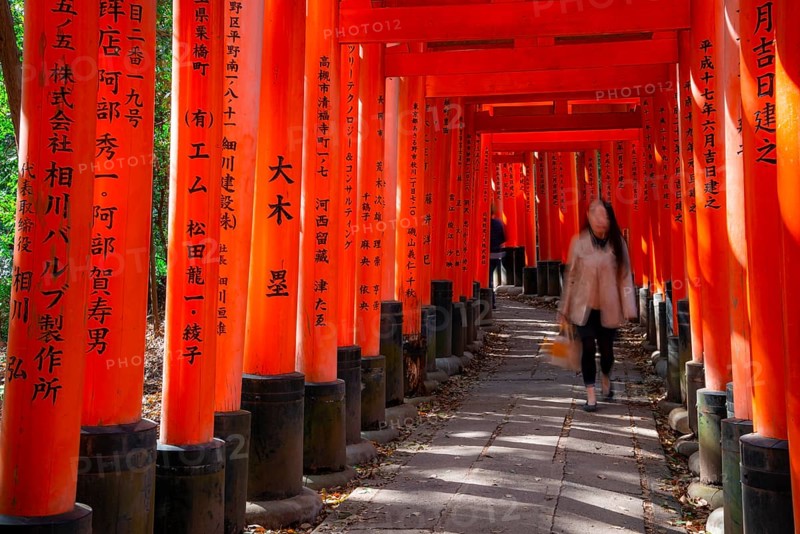 Visitors on a journey through hundreds of red traditional torii gates, Fushimi Inari-taisha, Shinto shrine, long exposure, motion blur, Fushimi Inari-taisha Okusha Hohaisho, Kyoto, Japan