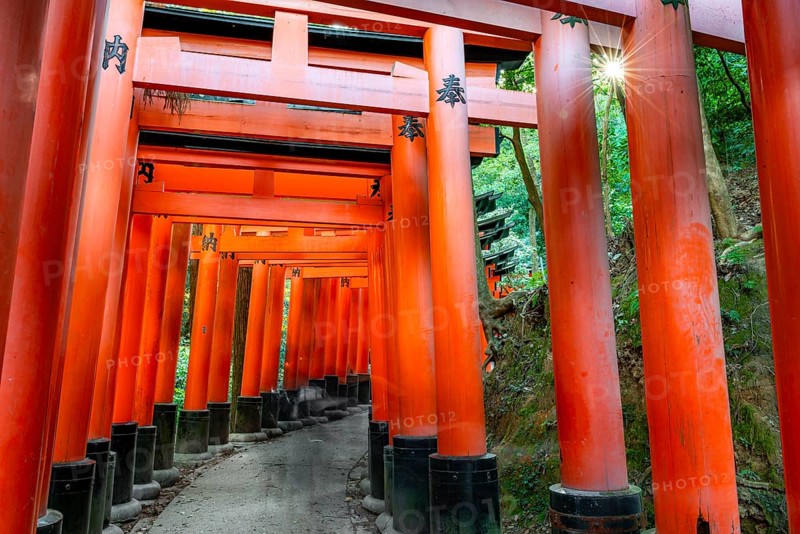 Walk through hundreds of red traditional torii gates, Fushimi Inari Taisha, Shinto Shrine, Sun Star, Fushimi Inari-taisha Okusha Hohaisho, Kyoto, Japan