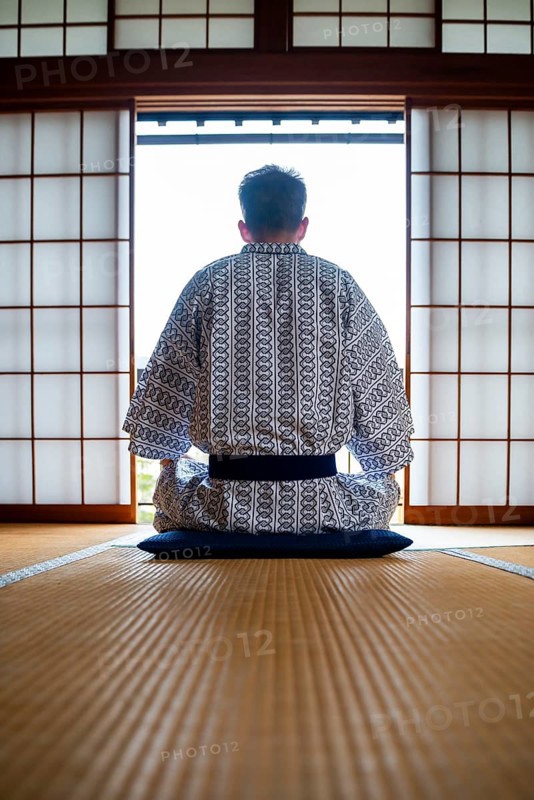 Young man wearing kimono sitting in traditional Japanese living room with tatami mats and shoji sliding doors, from behind, Yamanouchi, Nagano, Japan