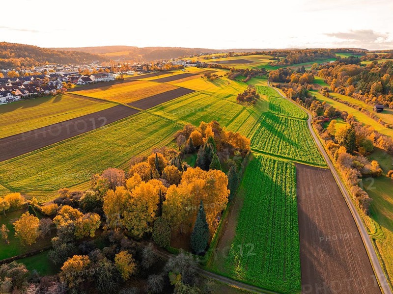Idyllic landscape with green and golden fields in the warm light of autumn sun, Aidlingen, Böblingen district, Germany