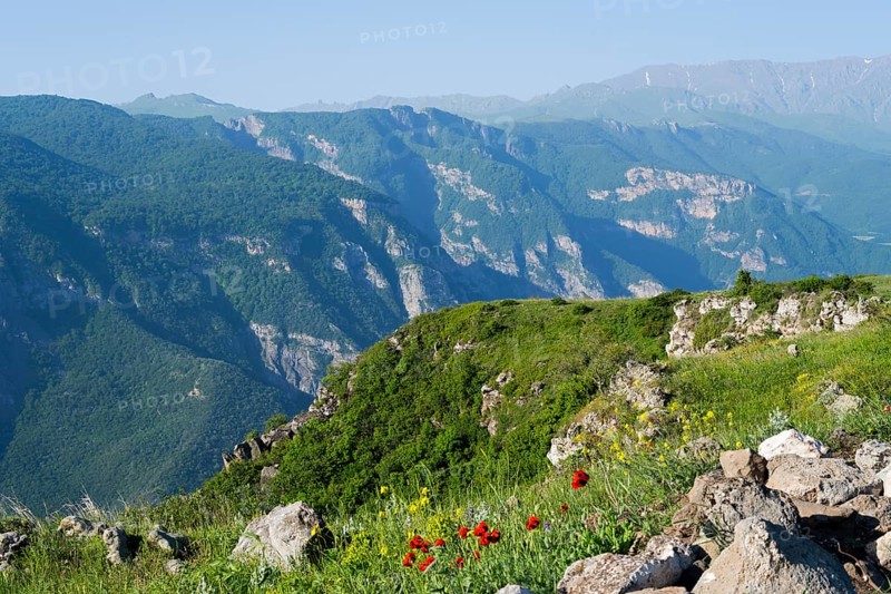 View of majestic mountains and green valleys with colorful wildflowers in the foreground, view of the Vorotan River valley, Vorotan, Halidzor, Syunik province, Caucasus, Armenia