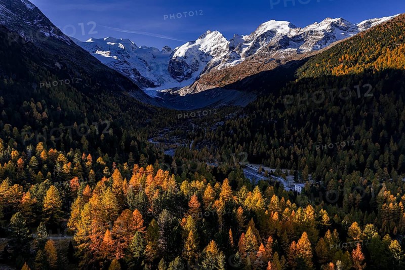 Mountain landscape, larch forest, autumn, autumn discoloration, morning light, aerial view, glacier, Morteratsch valley, Morteratsch glacier, Engadin, Switzerland