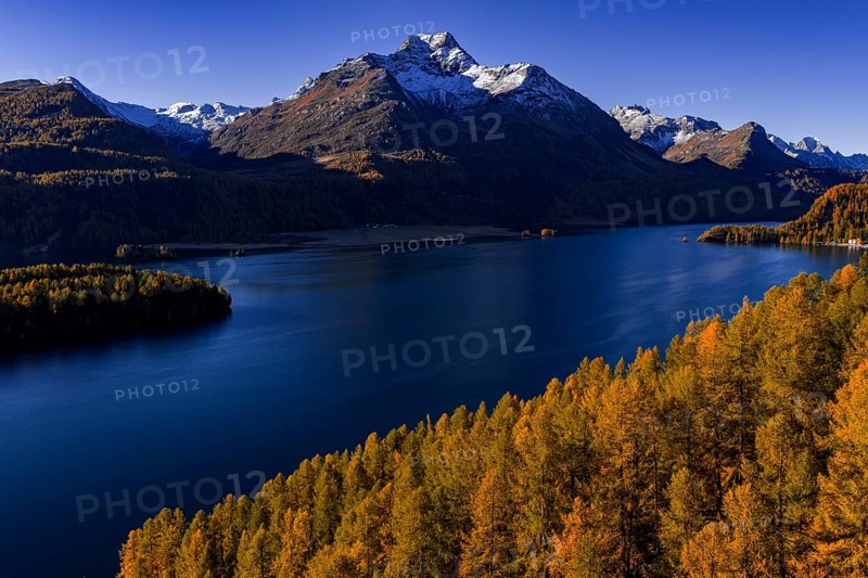 Mountain landscape, mountain lake, larch forest, autumn, autumn color, morning light, sunny, aerial view, Lake Sils, Engadin, Switzerland