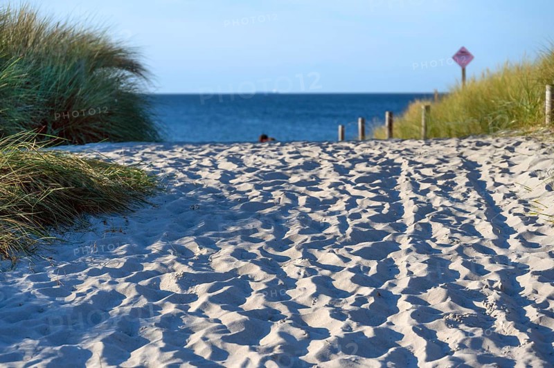 Sandweg zum Ostseestrand, Ahrenshoop, Darß, Mecklenburg-Western Pomerania, Germany