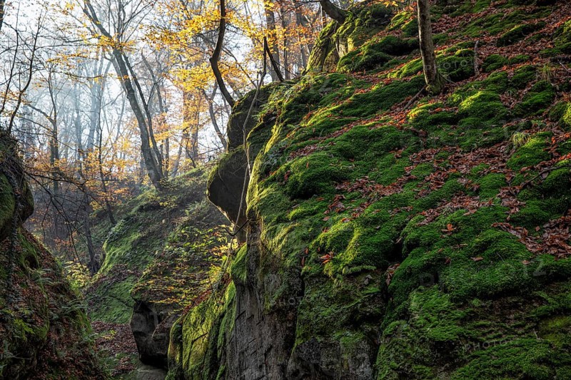 Beauty in nature. Krasnodar krai. Russia