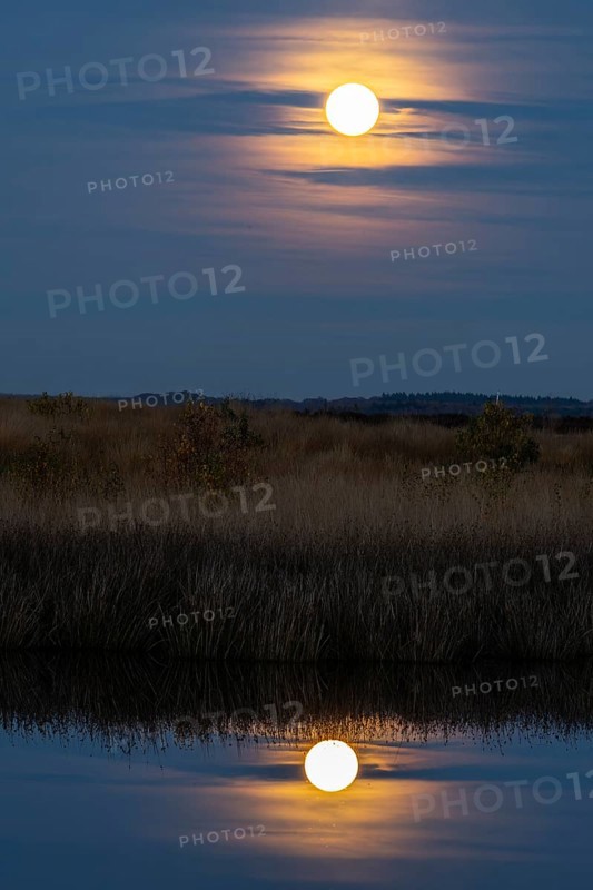 Full moon, super moon over the moor, Emsland, Lower Saxony, Germany