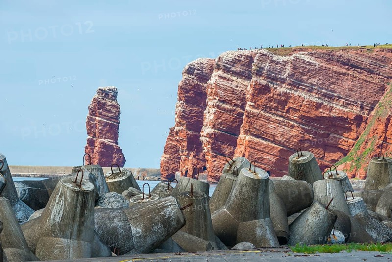 Sunny coastline with concrete tetrapods by the sea, coastal protection, protective wall, paved coastal strip, red cliffs with the coastal path and Lange Anna in the background, many people on the cliff, breeding birds, breeding colony on the cliffs, flying gannets (Morus bassanus), rock layers in red sandstone, surf pillar, escape line, perspective, cloud blue sea, horizon, western cliff, high-seas island of Heligoland, North Sea, Pinneberg district, Schleswig-Holstein, Germany