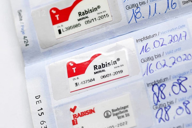 Germany - August 2nd 2025: Rabies vaccination proof with Rabisin sticker in European dog passport for pet travel within the EU