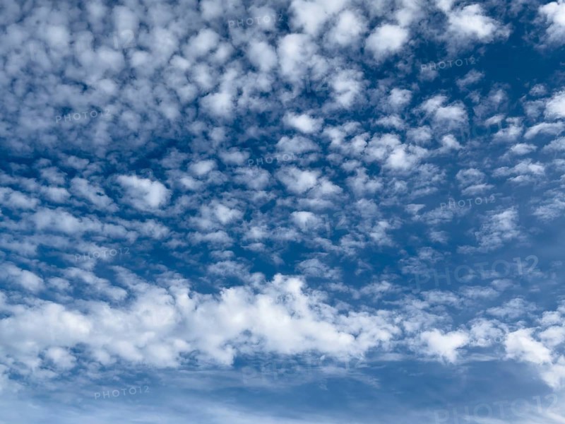 White medium-height cluster clouds above Altocumulus stratiformis below Altocumulus castellanus against blue sky, international
