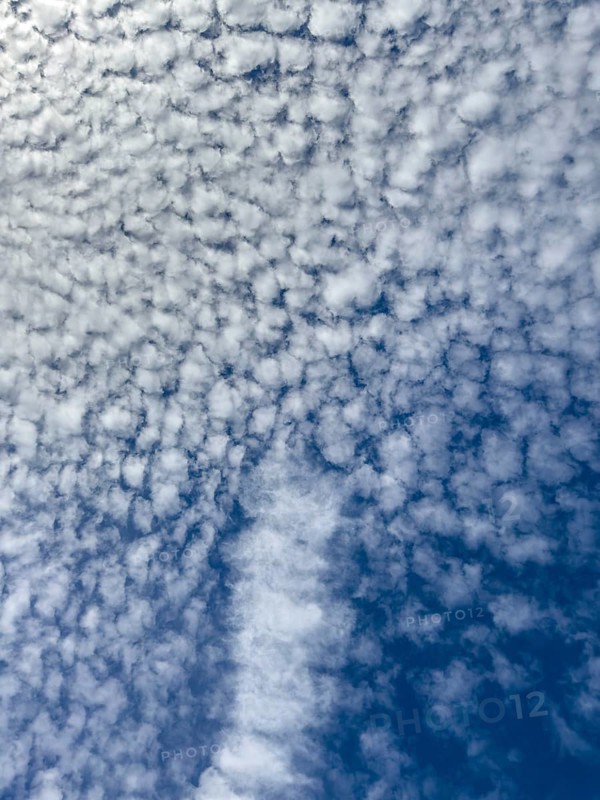 Dense cloudiness large cloud field from with white clouds Stratocumulus popularly sheep clouds against blue sky, international