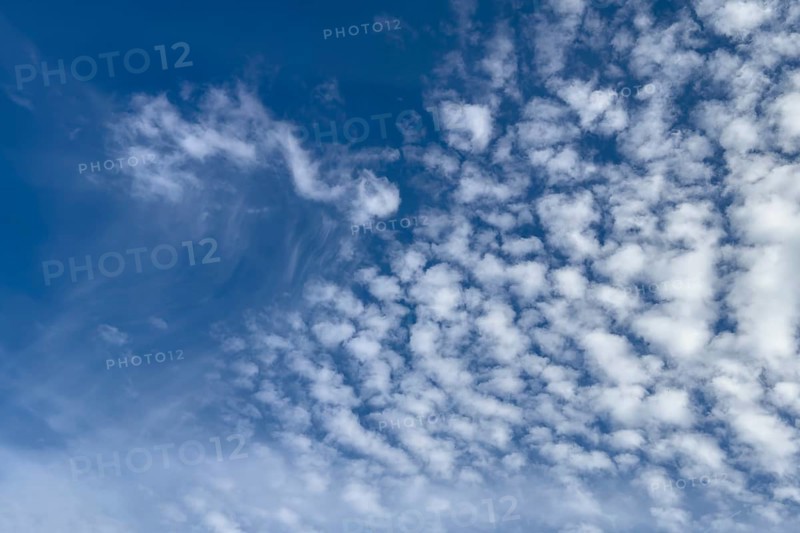 Top left white medium-height clouds Altocumulus floccus right Altocumulus stratiformis popularly sheep clouds in front of a blue sky, international