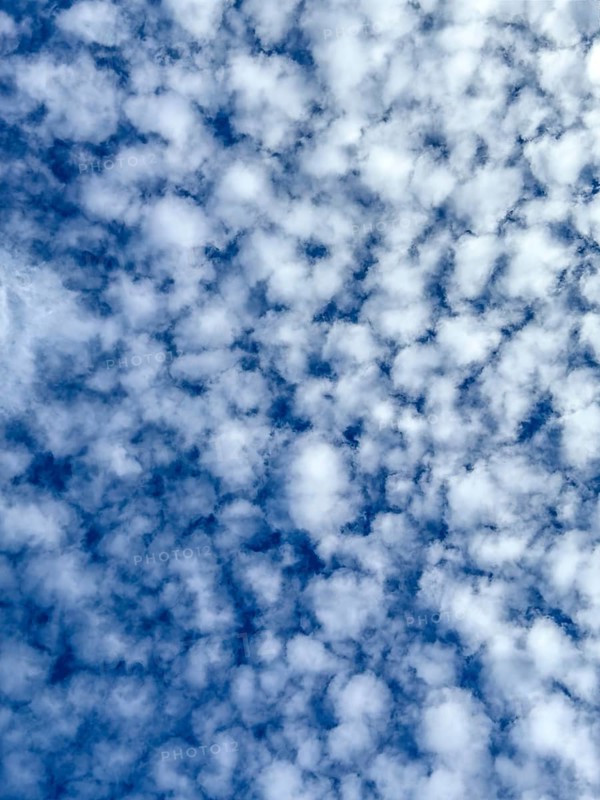 High white clouds Stratocumulus popularly sheep clouds against blue sky, international