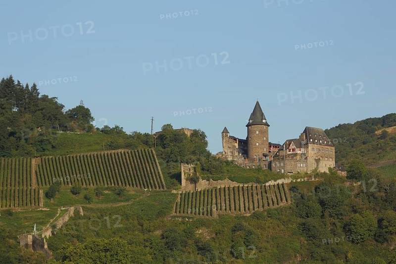 Stahleck Castle and vineyards, wine-growing region, Bacharach, Rhineland-Palatinate, UNESCO, Upper Middle Rhine Valley, Germany