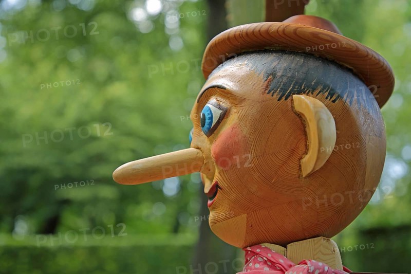 Pinocchio sculpture with long nose and blue eyes as a wooden figure, symbol of lies, long, wooden head, detail, hat, head, face, blue eyes, castle park, Lichtenwalde, Niederwiesa, Saxony, Germany