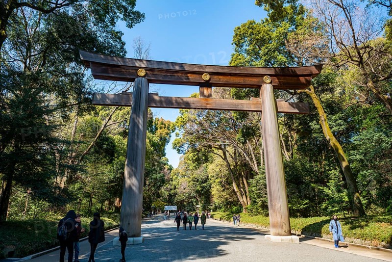 Kitasando Torii Grand Gate, Meiji Jingu Entrance, Meiji Shrine, Shinto Shrine, Yoyogi Park, Shibuya, Tokyo