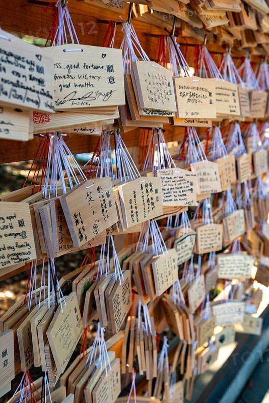 Ema, small wooden tablets with wishes and prayers, hung so that the Kami spirits or gods can receive them, Meiji Jingu, Meiji Shrine, Shinto Shrine, Yoyogi Park, Shibuya, Tokyo