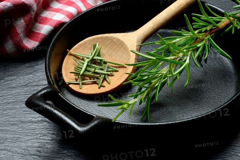 Rosemary, rosemary leaves and rosemary sprig with cooking pot