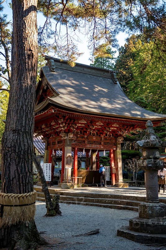 Traditional ablution fountain, Shinto Shrine, Kitaguchi-hongu Fuji Sengen Shrine, Shinto shrine in the forest, Fujiyoshida, Yamanashi Prefecture, Japan
