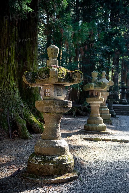 Toro stone lanterns on cedar alley, Kitaguchi-hongu Fuji Sengen Shrine, Shinto Shrine, Fujiyoshida, Yamanashi Prefecture, Japan