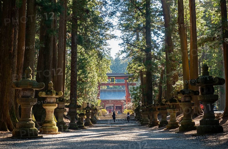 Cedar Alley and Toro Stone Lanterns with a View of Grand Torii Gate, Kitaguchi-hongu Fuji Sengen Shrine, Shinto Shrine, Fujiyoshida, Yamanashi Prefecture, Japan