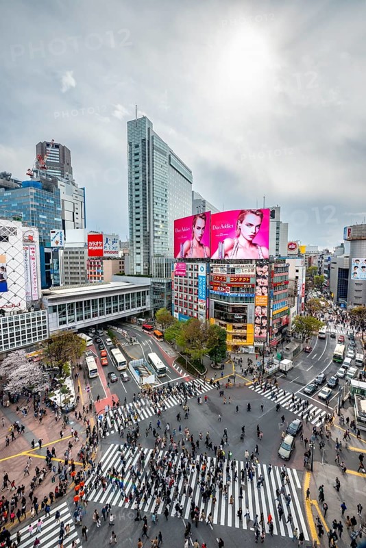 Modern houses with colorful neon signs and large road intersection, Shibuya Crossing from above, crowd at crossroads with crosswalks, Shibuya, Tokyo, Japan