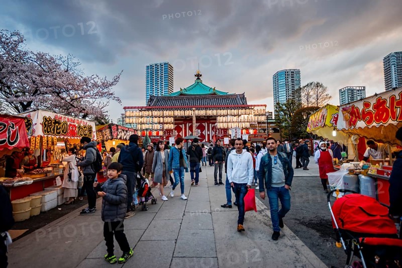 Shinobazunoike Bentendo Temple, food stalls selling Japanese food, cherry blossoms in spring, Hanami Festival, Ueno Park, Taito City, Tokyo, Japan