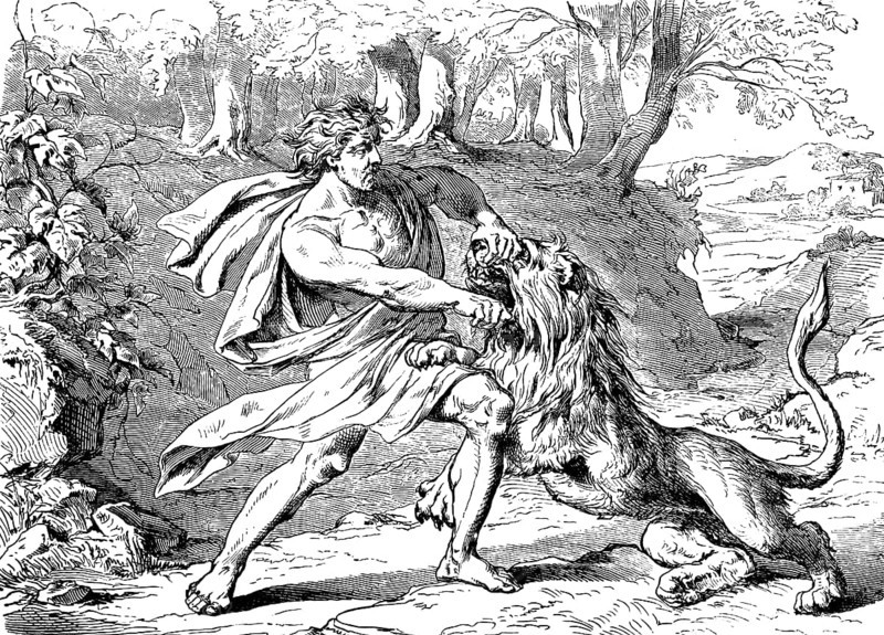 Samson fighting with the lion, vineyards in Thimnath, book of judges, chapter 14, Spirit of the Lord, kill, tear to pieces, forest, Old Testament, Bible, historical illustration 1877