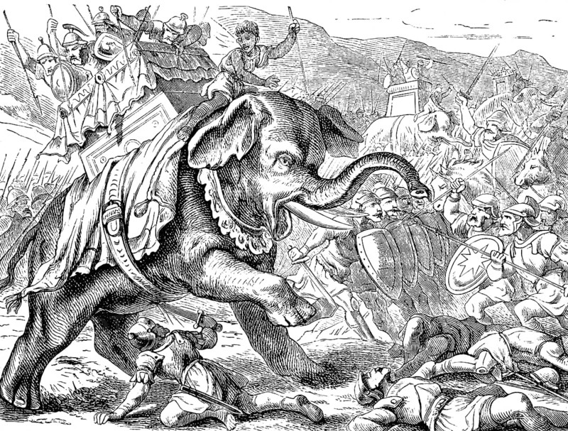 Eleazar, called Avaran, heroic death, first book of the Maccabees, chapter 6, Judas, damage, castle on Zion, people of Israel, battle, war, armor, weapons, war elephants, death, sanctuary, bravery, anger, fighter, soil, Old Testament, Bible, historical illustration 1877