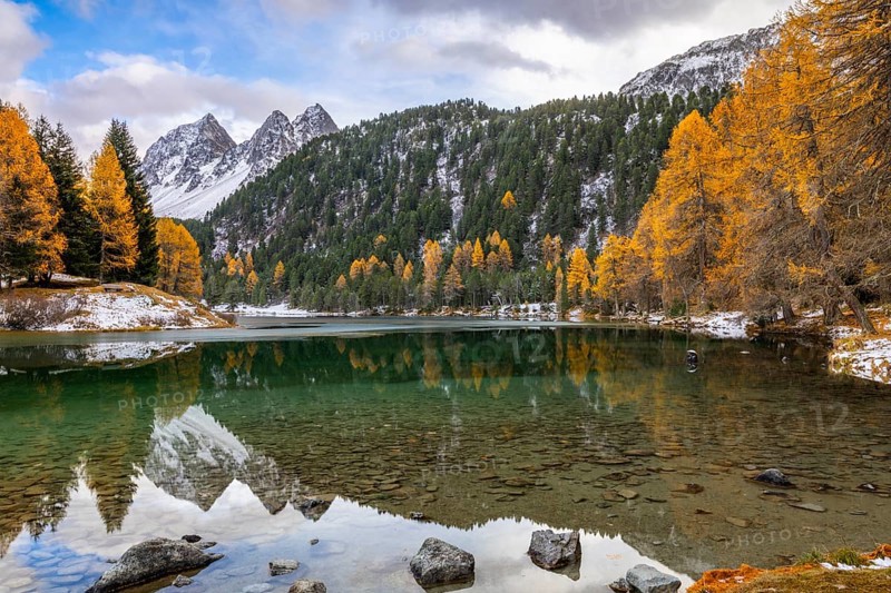 Lake Palpougna, mountain lake, Piz da la Plais, Tschimels, mixed forest with larches (Larix) in autumn, snow, autumn, Filisur mountain green, Albula Pass, Grisons, Switzerland