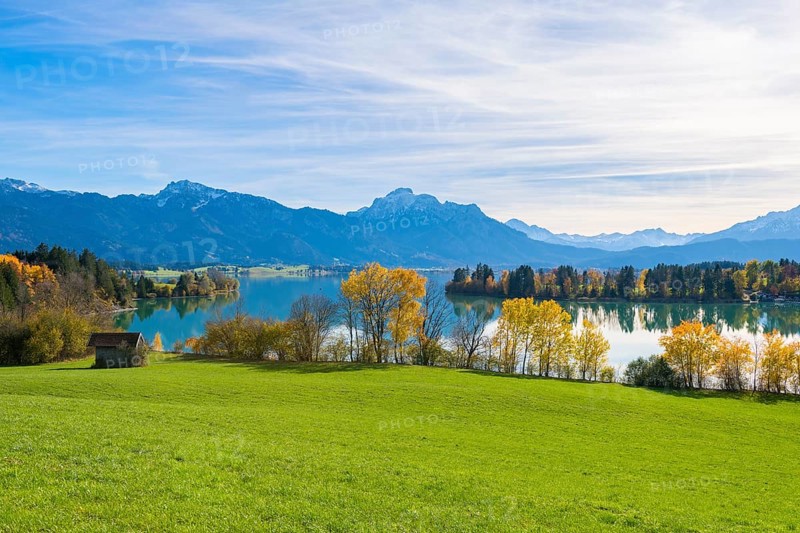 Forggensee and mountains in an autumnal setting, green meadow in the foreground, near Roßhaupten, Ostallgäu, Allgäu, Bavaria, Germany