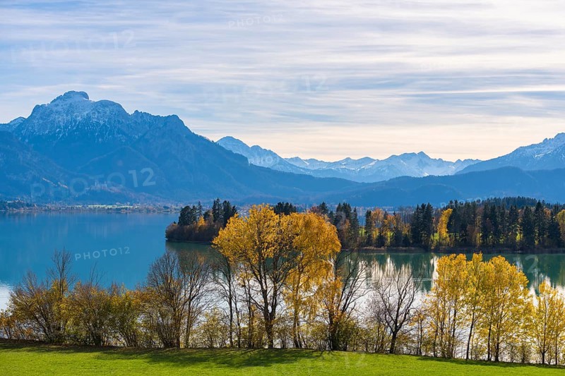 View of quiet Forggensee with mountains in the background, autumn trees on the shore, near Roßhaupten, Ostallgäu, Allgäu, Bavaria, Germany