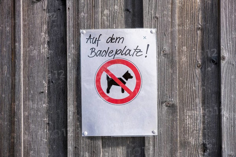 A sign on a wooden wall prohibits dogs from staying at the bathing area, near Roßhaupten, Ostallgäu, Allgäu, Bavaria, Germany