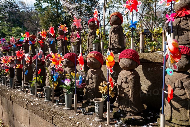 Jizo statues with red crocheted caps, guardian deities for deceased children, Unborn Children Garden, Zojoji temple, Buddhist temple complex, cherry blossom, Tokyo, Japan