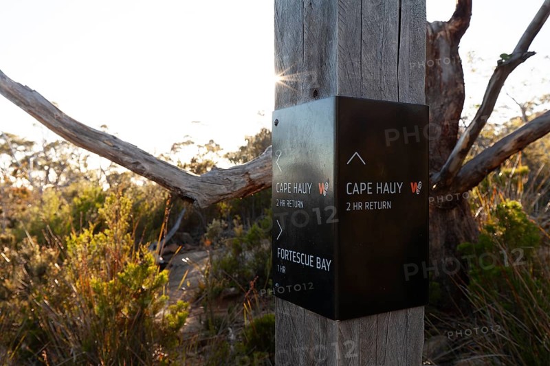 Guide on the trail to the cliffs of Cape Raoul in Tasmania. Cape Hauy, Tasman Peninsula, Tasmania, Australia