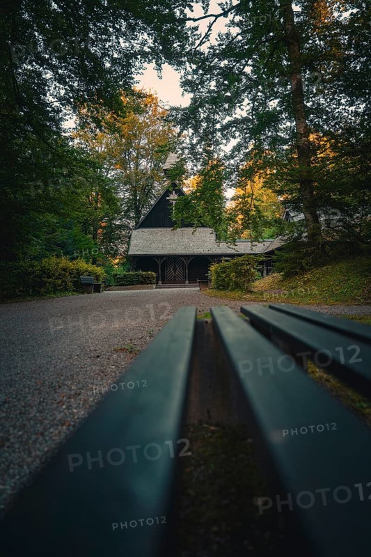 Small wooden church in a forest, atmospheric evening with dark surroundings, Altensteig, Calw district, Germany