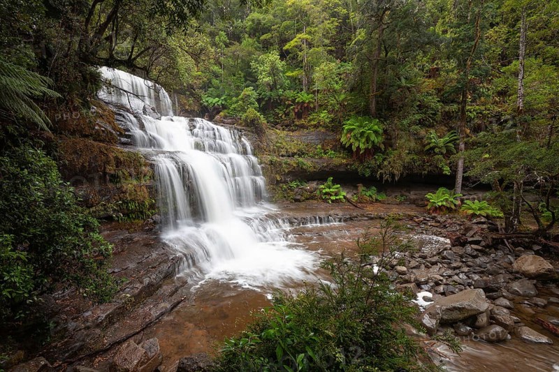 Liffey Falls with heavy water flow, ferns and moss-covered rocks in Liffey Falls State Reserve, Tasmania