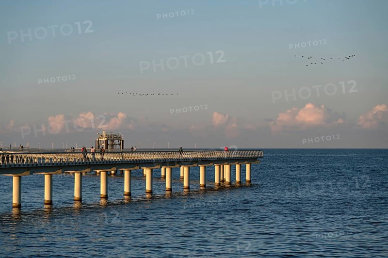 New 720-meter long pier in Prerow opened since October 2024, flying cranes (Grus grus) in the evening light, Prerow, Darß, Mecklenburg-Western Pomerania, Germany