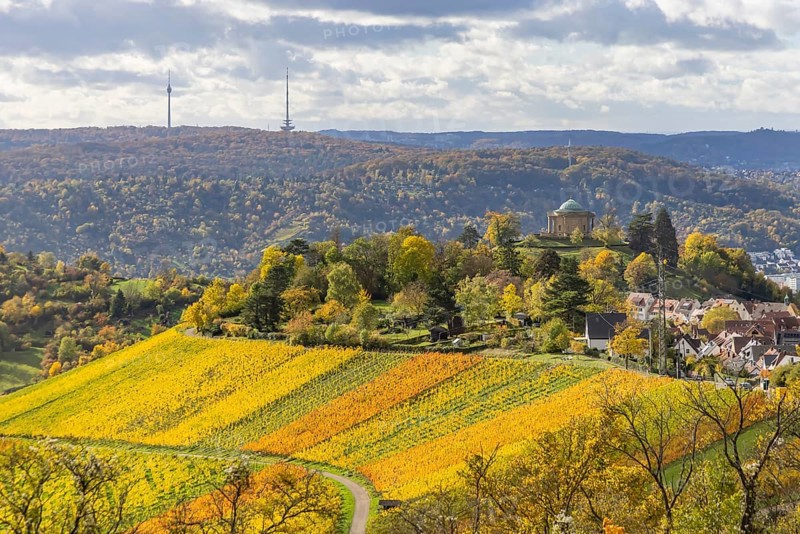 View of the vineyards and the grave chapel in Württemberg from the Egelseer Heide. Autumn-colored landscape in autumn. Stuttgart, Baden-Württemberg, Germany