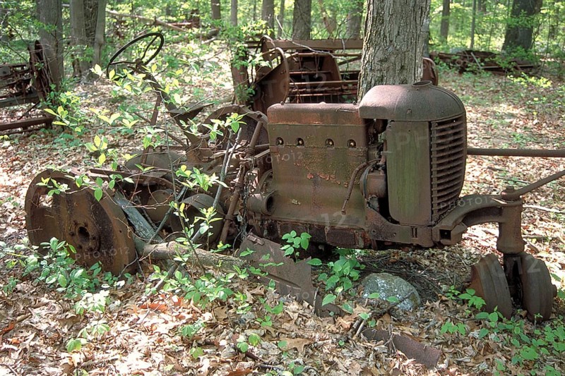 Rusted American tractor around 1900, crossed by a tree, dumped in a wooded area, Marksboro, New Jersey, USA
