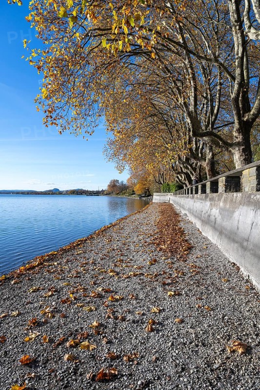 Gravel shore, Lake Constance shore at Mettnaupark near Radolfzell am Lake Constance, with the Istres Promenade, surrounded by autumn vegetation, Radolfzell Cathedral and the Hegauberge with the Hohentwiel and Hohenstoffeln, Konstanz district, Baden-Württemberg, Germany