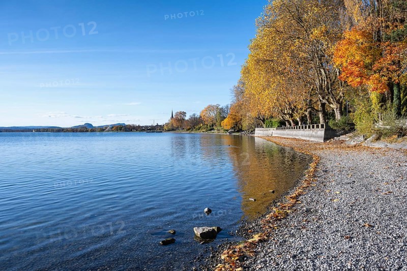 Gravel shore, Lake Constance shore at Mettnaupark near Radolfzell am Lake Constance, with the Istres Promenade, surrounded by autumn vegetation, Radolfzell Cathedral and the Hegauberge with the Hohentwiel and Hohenstoffeln, Konstanz district, Baden-Württemberg, Germany