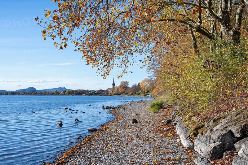 Gravel shore, pebble beach, Lake Constance shore at Mettnaupark near Radolfzell am Lake Constance, surrounded by autumn vegetation, on the horizon the Hegauberge mountains with the Hohentwiel and Hohenstoffeln, district of Constance, Baden-Württemberg, Germany