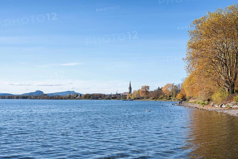 Gravel shore, Lake Constance shore at Mettnaupark near Radolfzell am Lake Constance, surrounded by autumn vegetation, Radolfzell Münster and the Hegauberge Mountains with the Hohentwiel and Hohenstoffeln, Konstanz district, Baden-Württemberg, Germany