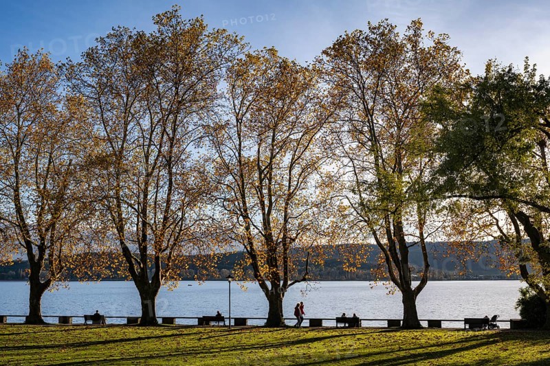 The Mettnaupark with the Itres promenade on the banks of Lake Constance, Mettnau peninsula, Radolfzell am Lake Constance, district of Konstanz, Baden-Württemberg, Germany