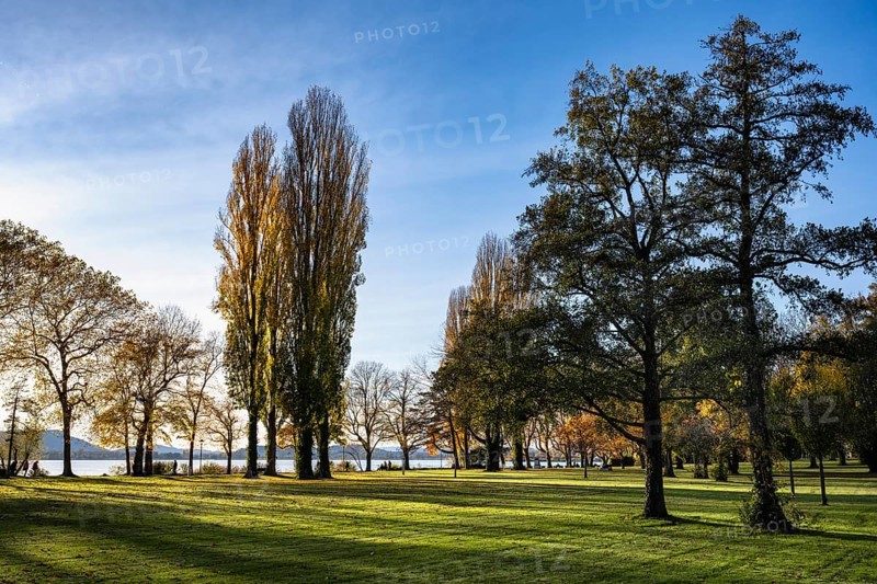 The Mettnaupark, surrounded by autumn vegetation, with the Itres promenade on the banks of Lake Constance, Mettnau peninsula, Radolfzell am Lake Constance, district of Konstanz, Baden-Württemberg, Germany